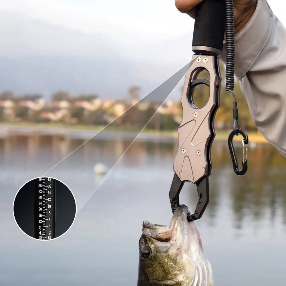 Weigh the fish where you stand